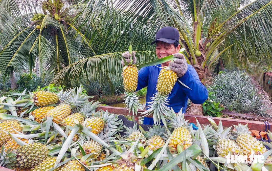 Vận hành cống Cái Lớn - Cái Bé ứng phó triều cường - Ảnh 8.