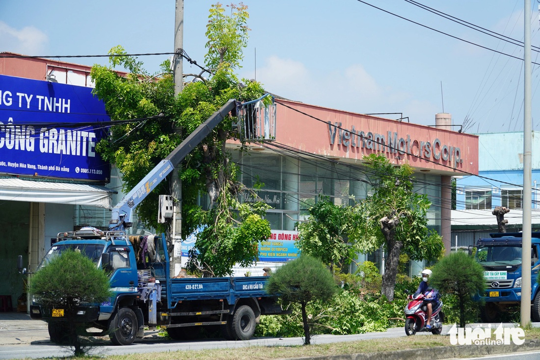 Cắt trọc cây xanh đường quốc lộ 1: Chủ đầu tư nói bão vào cây ngã xuống, ai mệt? - Ảnh 2.