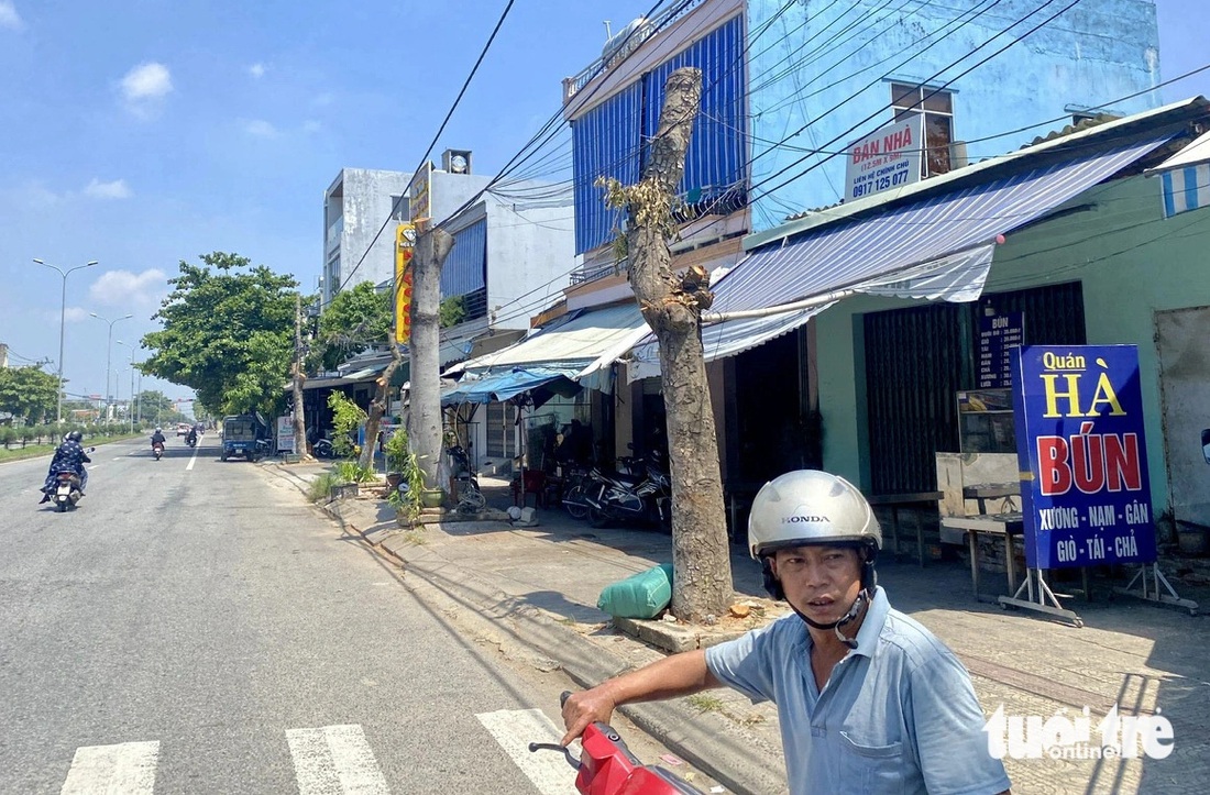 Cắt trọc cây xanh đường quốc lộ 1: Chủ đầu tư nói bão vào cây ngã xuống, ai mệt? - Ảnh 5.