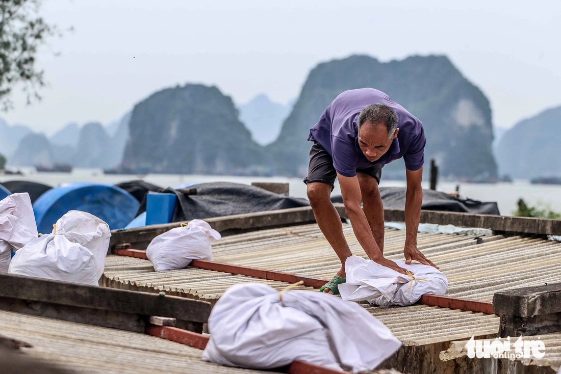 Nơi siêu bão Yagi dự kiến đổ bộ: Dùng cần cẩu kéo ca nô lên bờ, gia cố lại nhà cửa phòng chống bão - Ảnh 1.