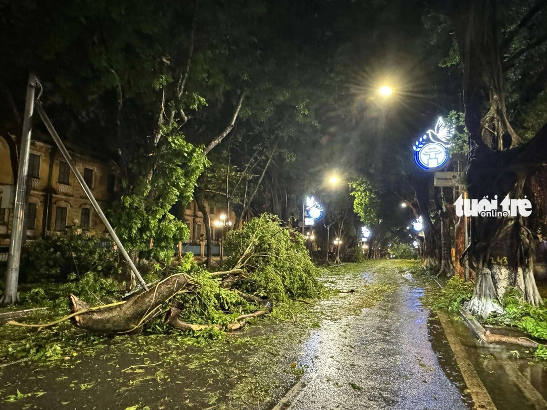 Bão số 3 quét qua: Đường phố Hà Nội tan hoang, cây đổ khắp nơi, đại lộ ngập nước - Ảnh 5.