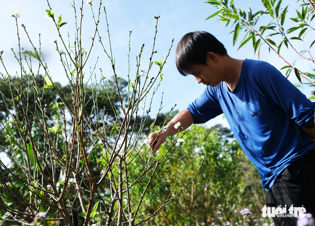 Khám phá vườn đào Bắc tại Đà Lạt của một lính cứu hỏa - Ảnh 5.