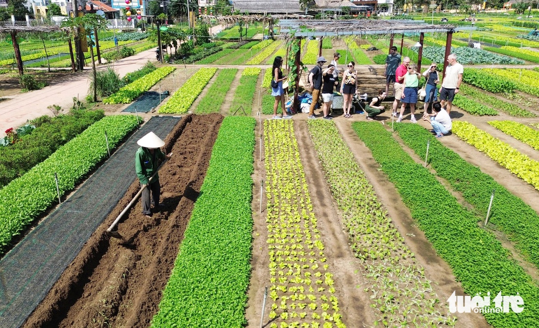 Du Xuân với màu xanh ngắt, thơm ngát, tiết trời trong lành ở làng du lịch tốt nhất năm 2024 - Ảnh 7.