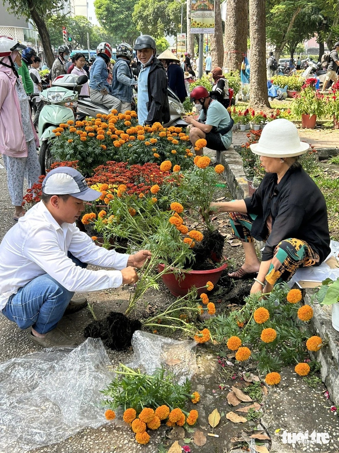 Hoa Tết bắt đầu 'xổ' khắp phố phường - Ảnh 11.