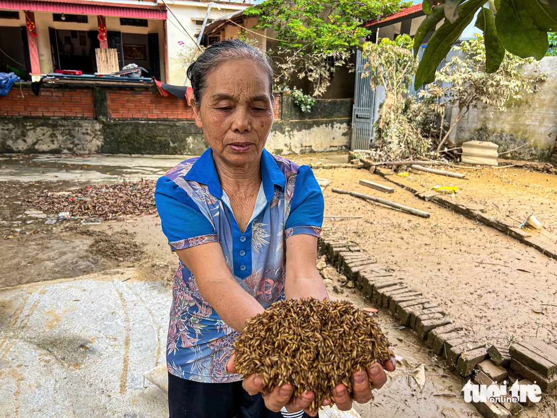 Cụ bà 72 tuổi kể lại cảnh 'sắp chết đuối' vì lũ tràn về lút tới cằm, phải bám cột nhà chờ cứu hộ - Ảnh 6.