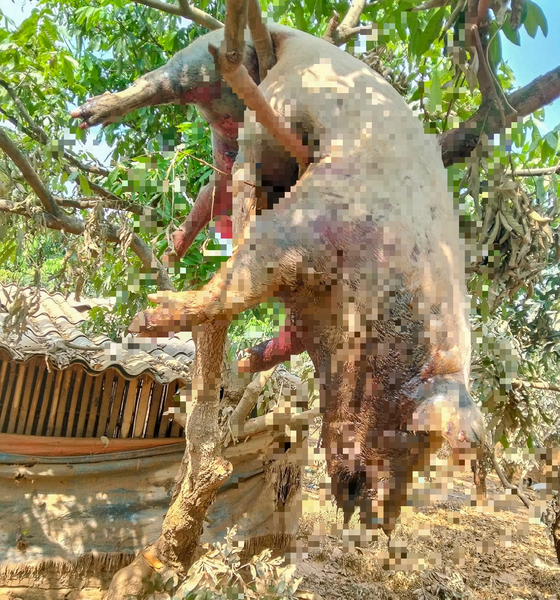 công an - Ảnh 4.
