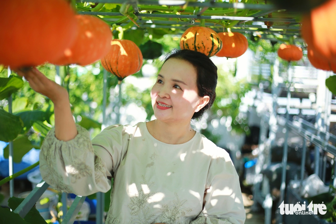sân thượng - Ảnh 1.