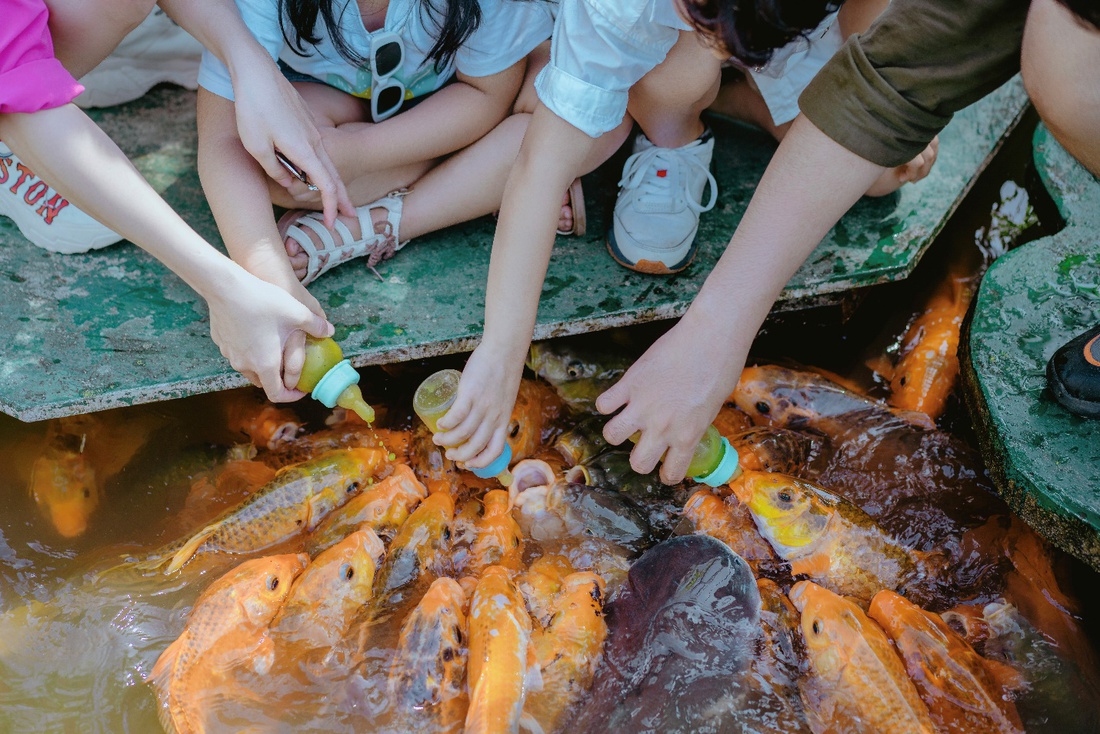 Công viên Du lịch Yang Bay - Ảnh 4.