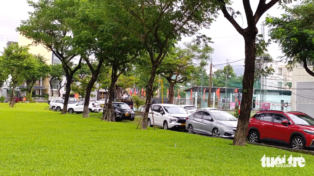 Đà Nẵng - Ảnh 1.
