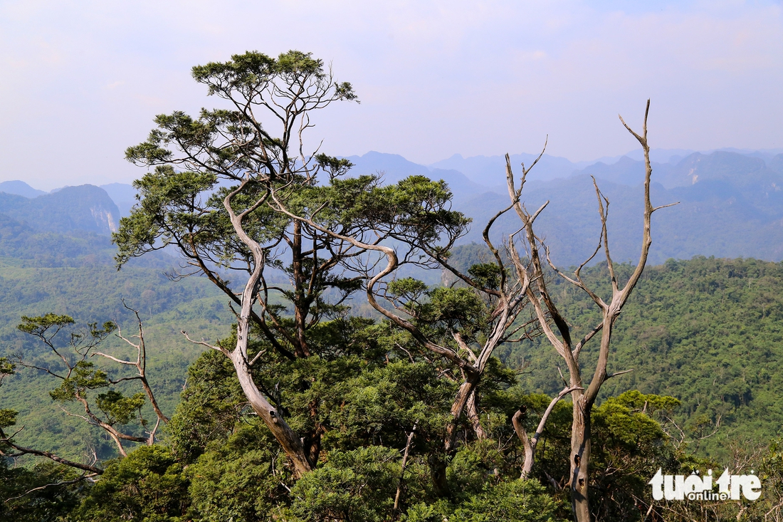du lịch sinh thái - Ảnh 1.