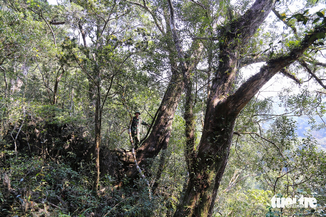 du lịch sinh thái - Ảnh 2.