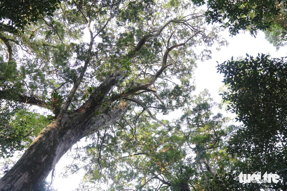 du lịch sinh thái - Ảnh 6.