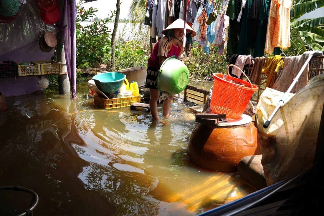đồng tháp mười - Ảnh 4.