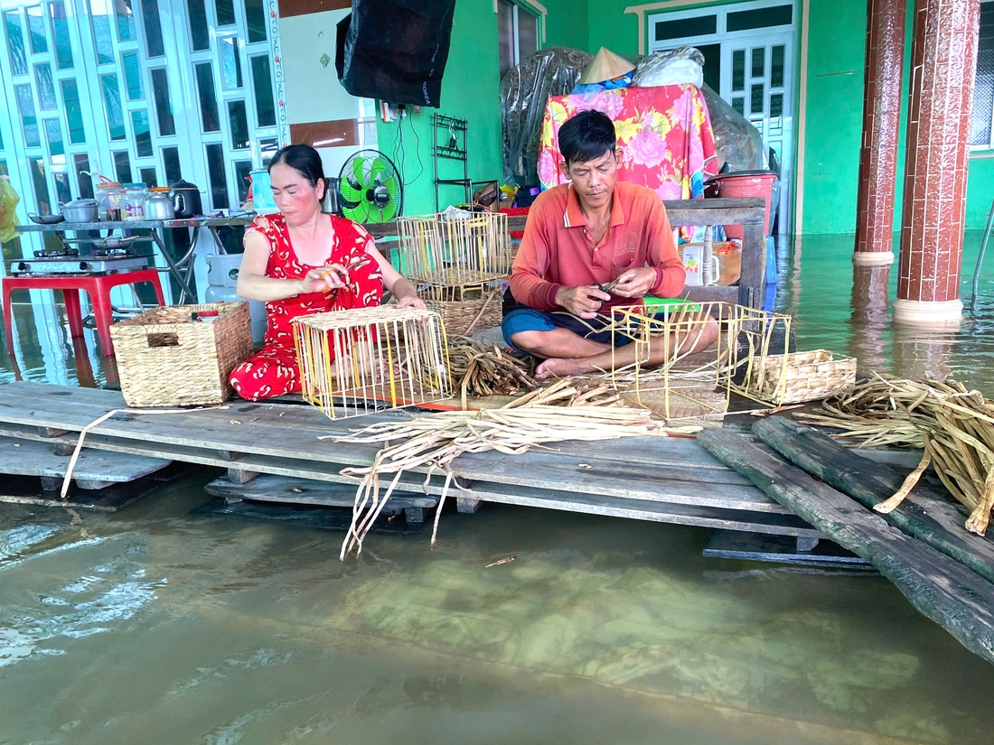 Hôm nay Đồng Tháp Mười đạt đỉnh lũ, nước dâng vào nhiều nhà dân - Ảnh 6.