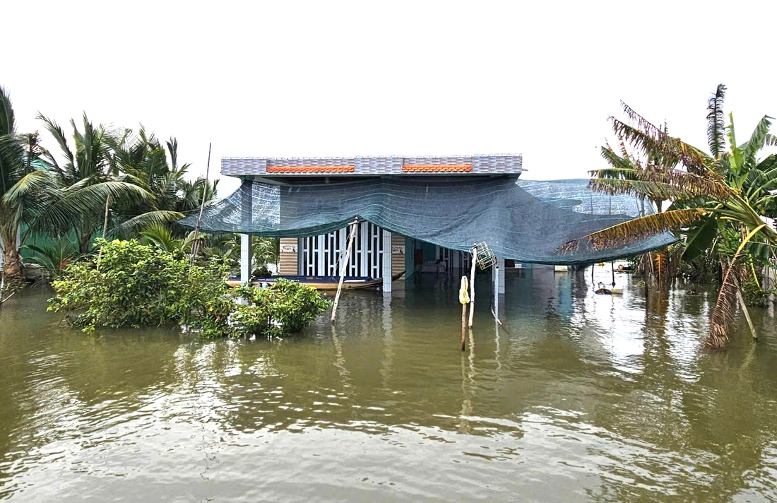 đồng tháp mười - Ảnh 2.