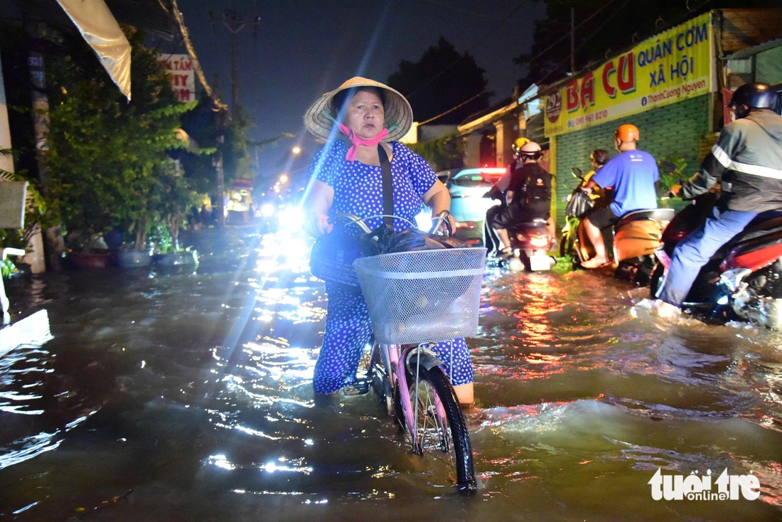triều cường - Ảnh 2.