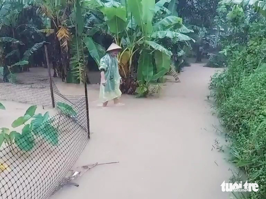Nước lũ sông Thu Bồn có nơi trên báo động 3, Đà Nẵng tiếp tục mưa lớn hôm nay - Ảnh 8.