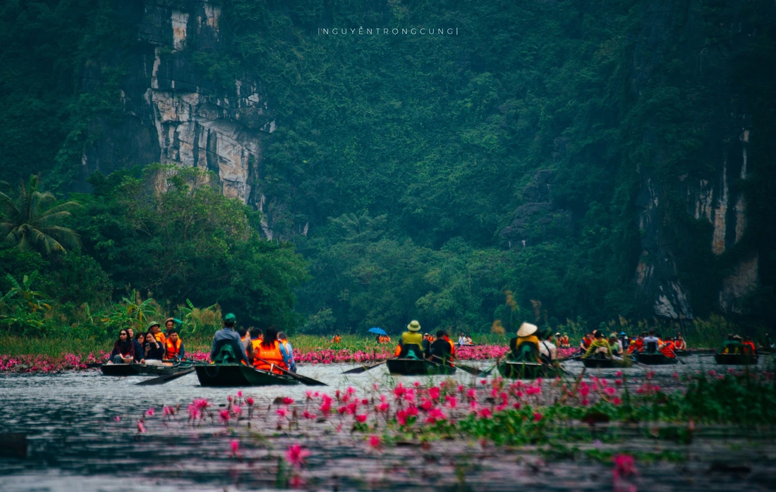 Mùa hoa ‘chảnh’ ở Ninh Bình, chỉ nở vào buổi sáng, du khách ngỡ ngàng - Ảnh 5. Ninh Bình - Ảnh 5.