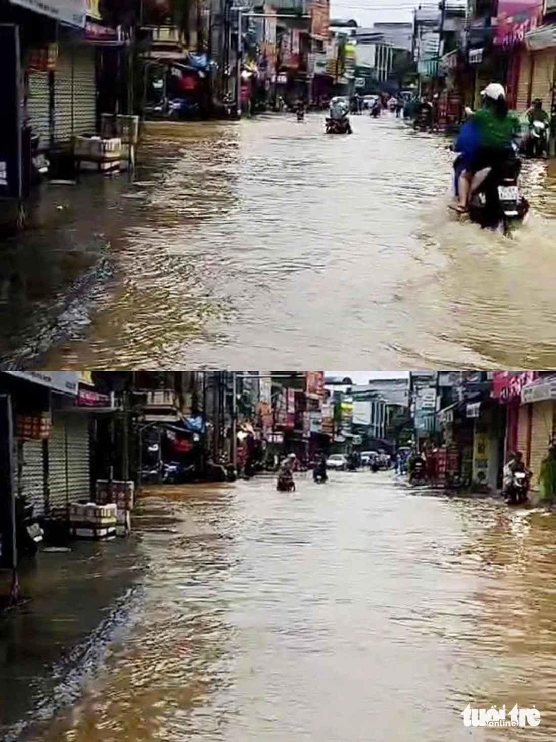 vu gia - Ảnh 6.