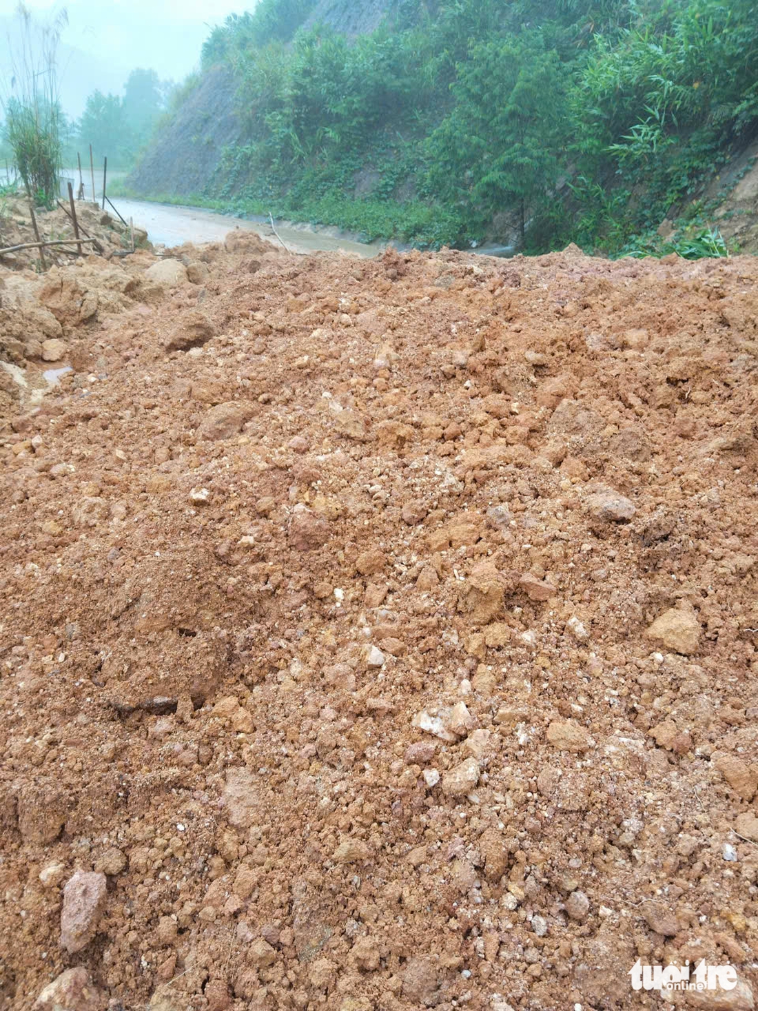 vu gia - Ảnh 13.