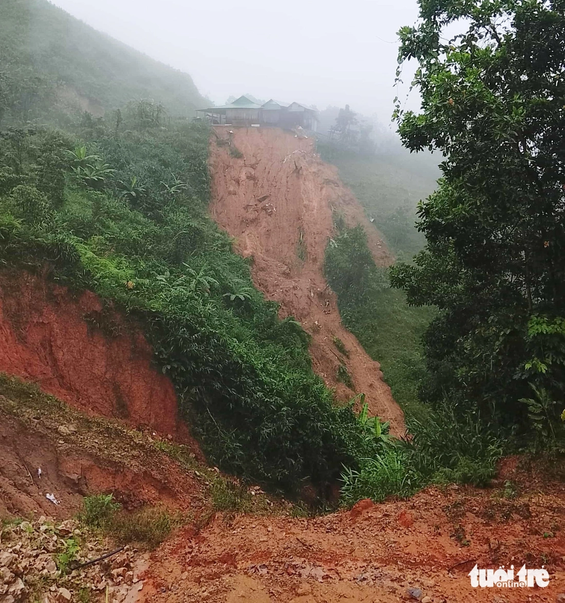 vu gia - Ảnh 15.