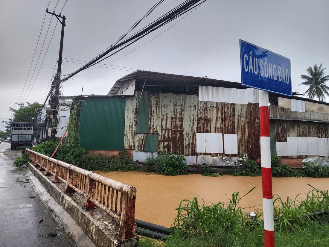 sông Trà Khúc - Ảnh 3.