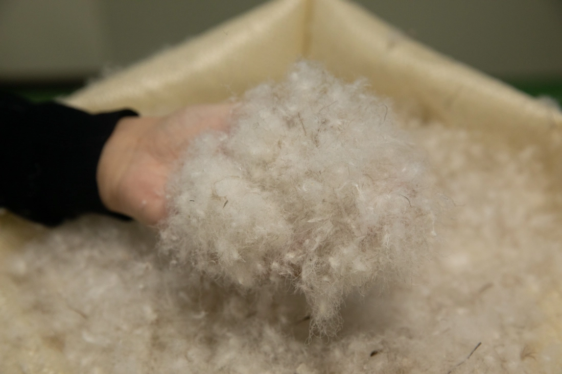 Cận cảnh quy trình 'hồi sinh' hàng triệu áo lông vũ cũ tại nhà máy tái chế ở Nhật Bản - Ảnh 5.