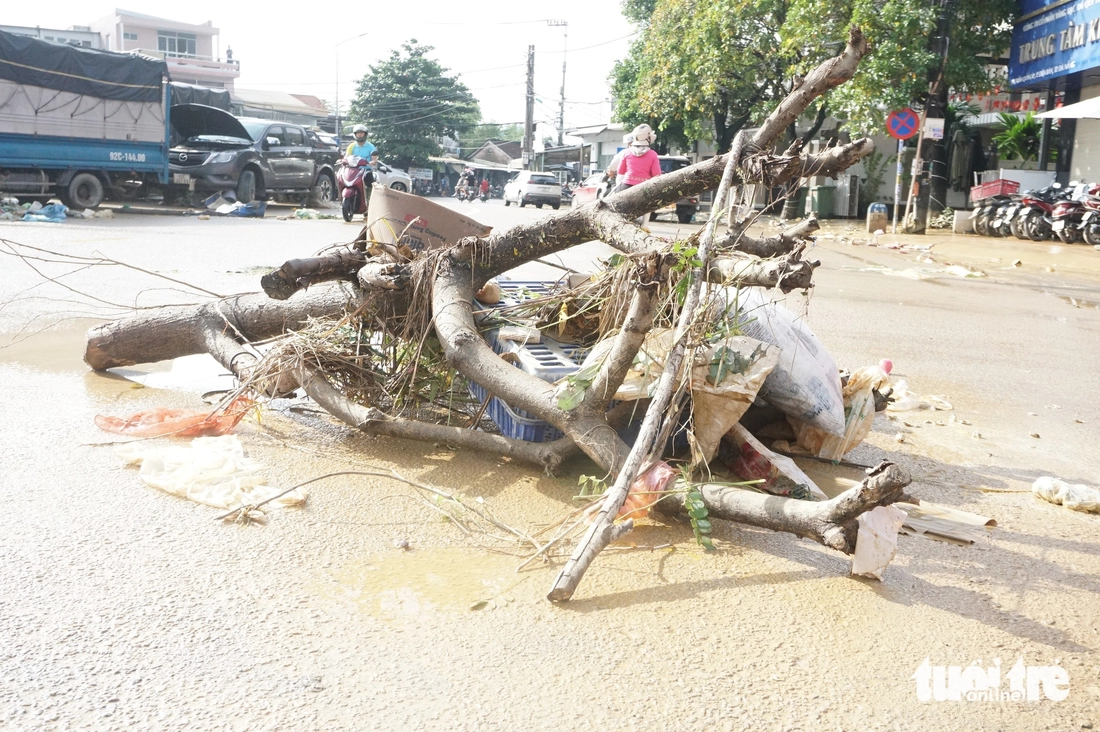 Sau lũ lụt lịch sử, quốc lộ 1 qua Đà Nẵng vẫn ngập, ngổn ngang khắp nơi - Ảnh 3.