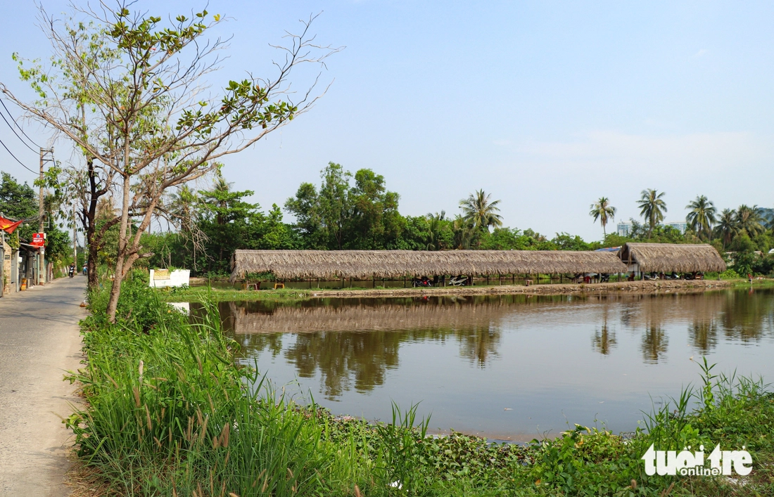 Bình Quới - Ảnh 7.