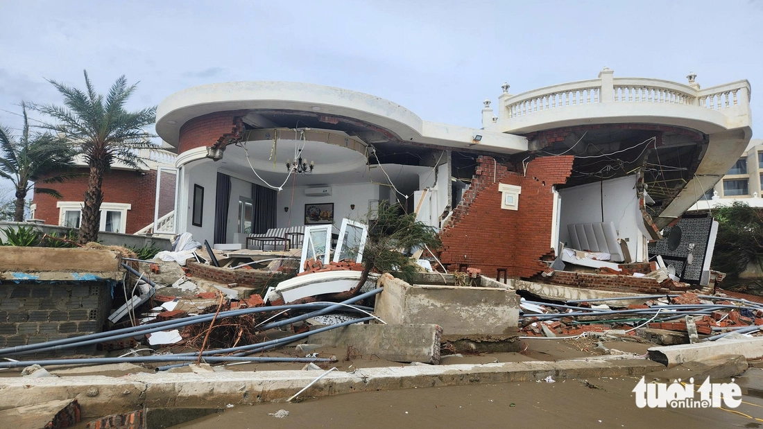 villa - Ảnh 8.
