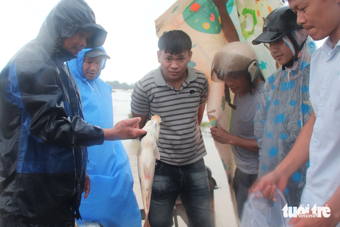 Đà Nẵng - Ảnh 1.