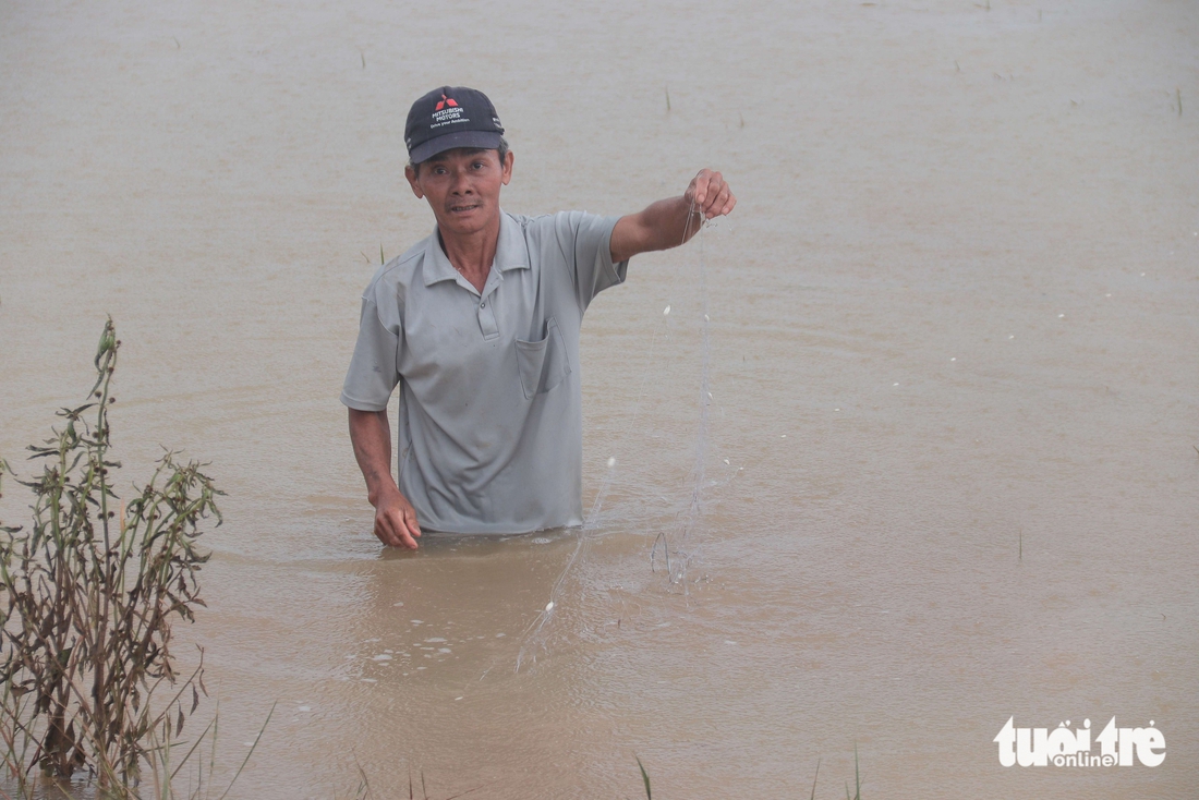 Đà Nẵng - Ảnh 2.