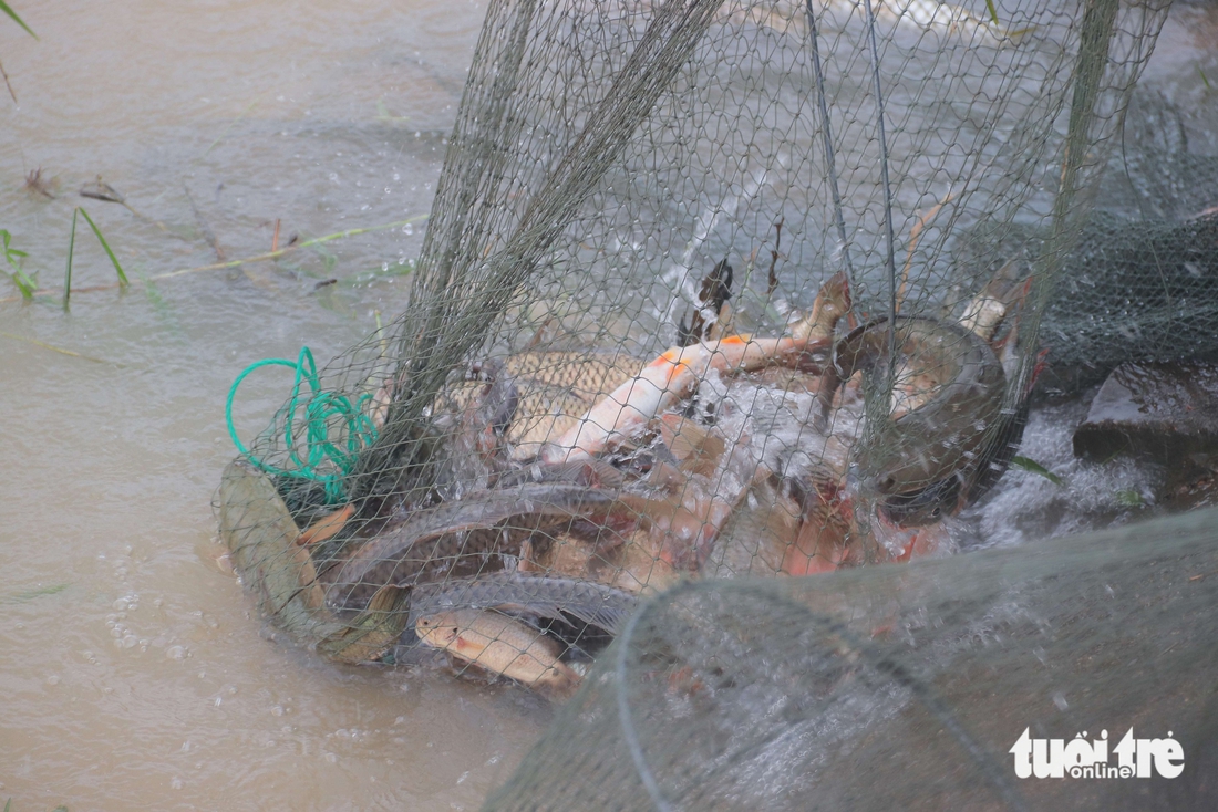 Đà Nẵng - Ảnh 5.