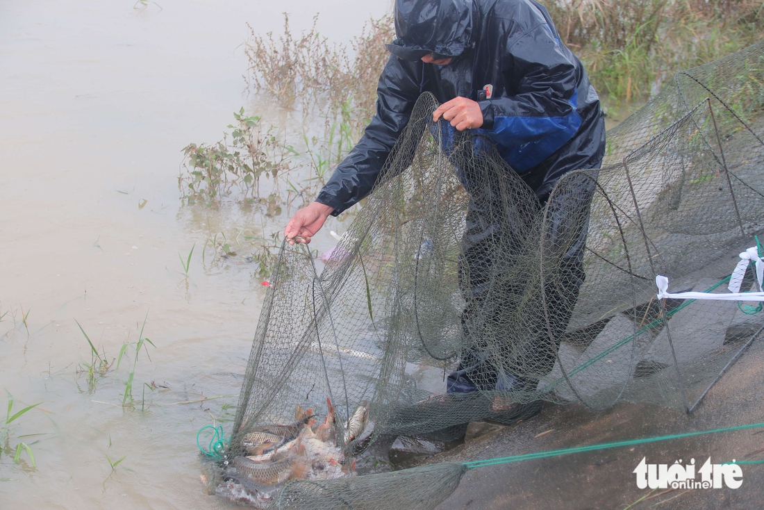 Đà Nẵng - Ảnh 6.