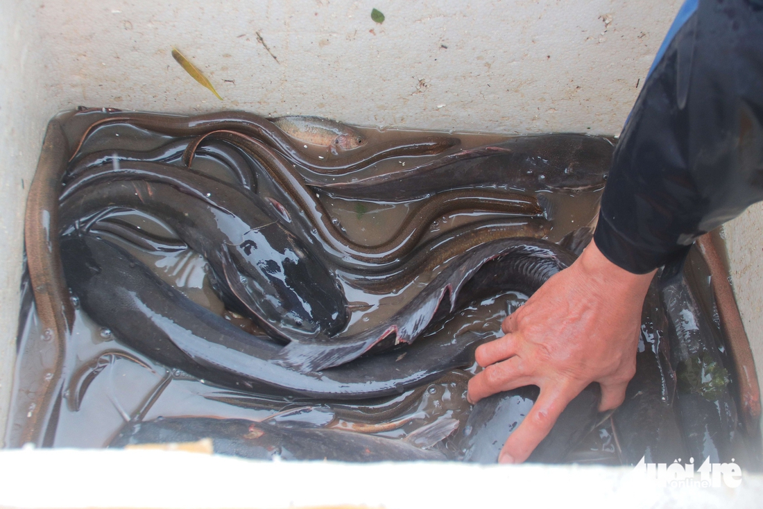 Đà Nẵng - Ảnh 7.