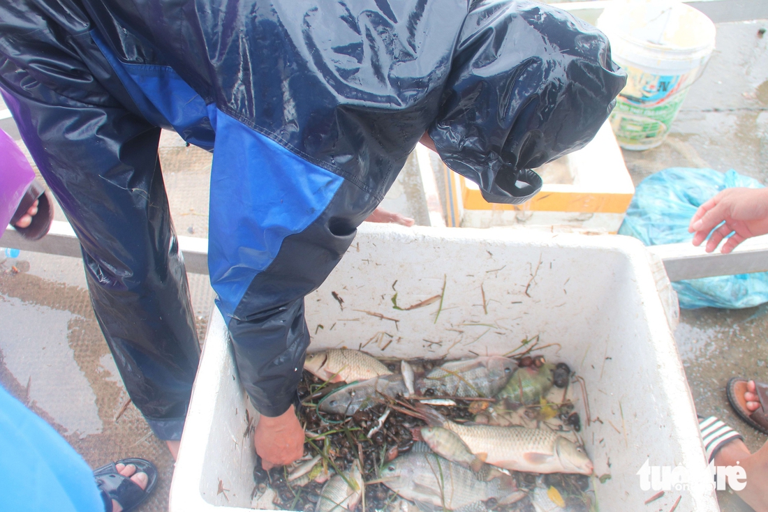 Đà Nẵng - Ảnh 8.