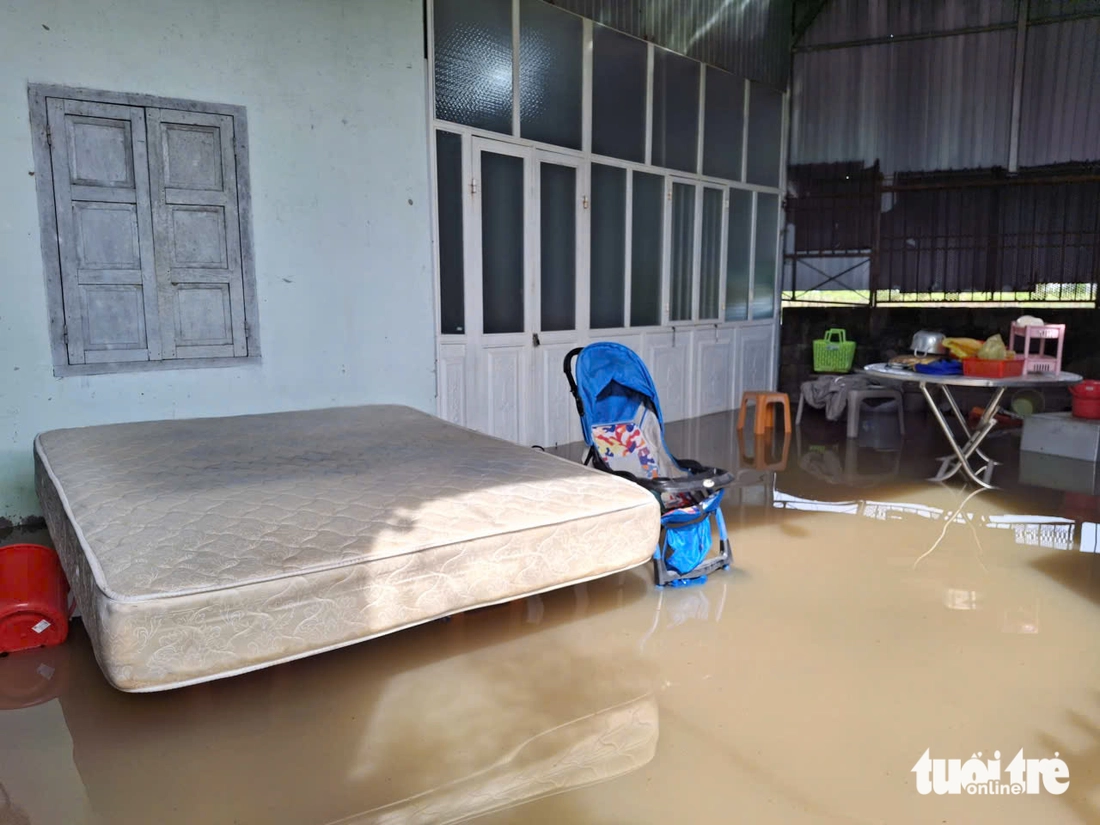 Lâm Đồng - Ảnh 1.