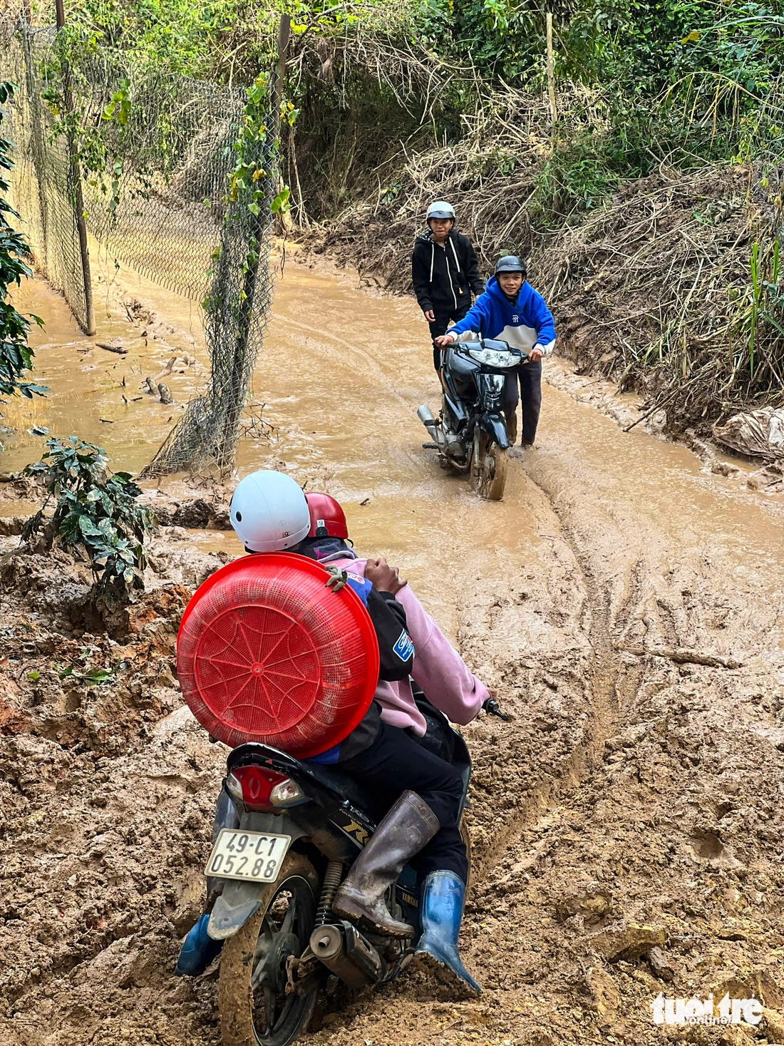 Đà Lạt - Ảnh 3.