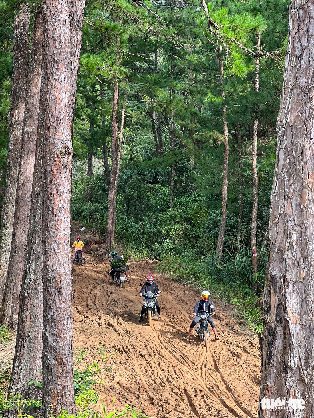 Đà Lạt - Ảnh 4.