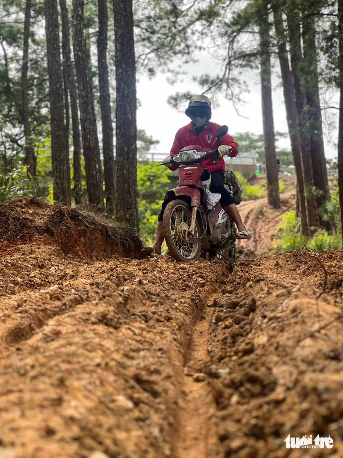 Đà Lạt - Ảnh 6.