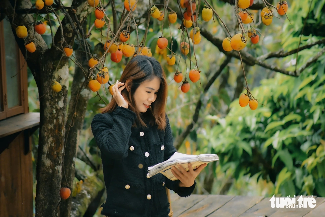 Vườn hồng Đà Lạt, nơi ai bước vào cũng hóa đoan trang- Ảnh 1.