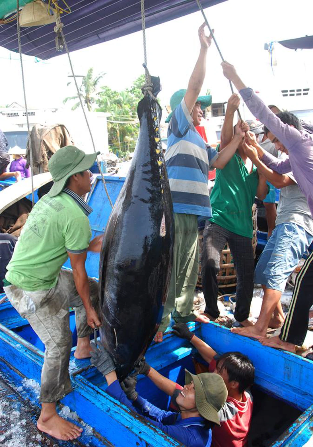 Đà Nẵng - Ảnh 5.