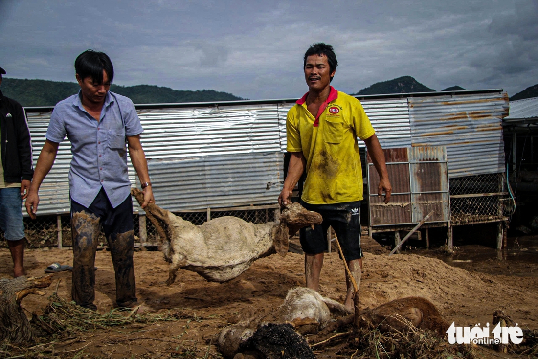 lũ quét - Ảnh 2.