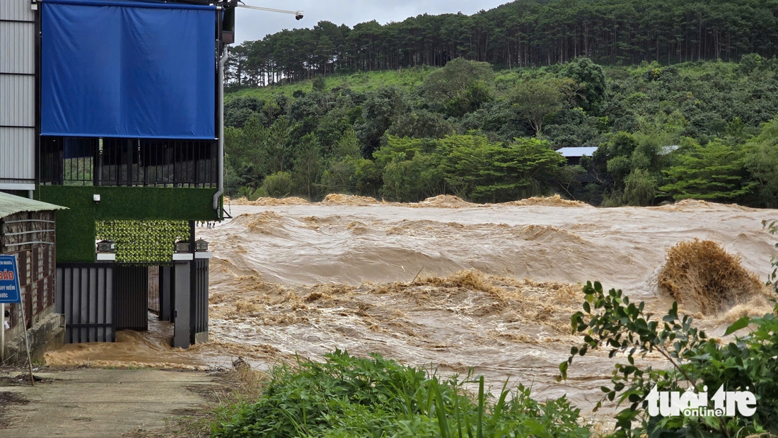 sông Đa Nhim - Ảnh 7.