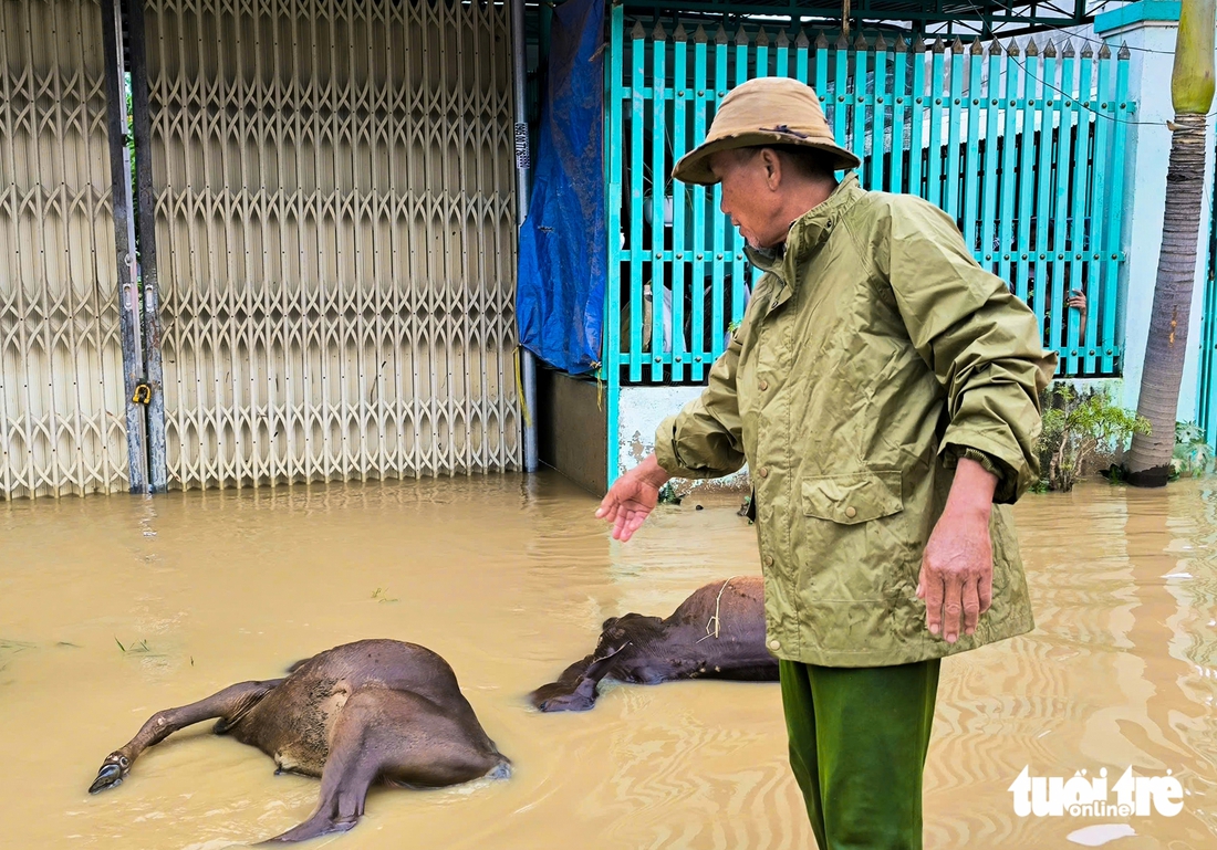 sông Dinh - Ảnh 6.