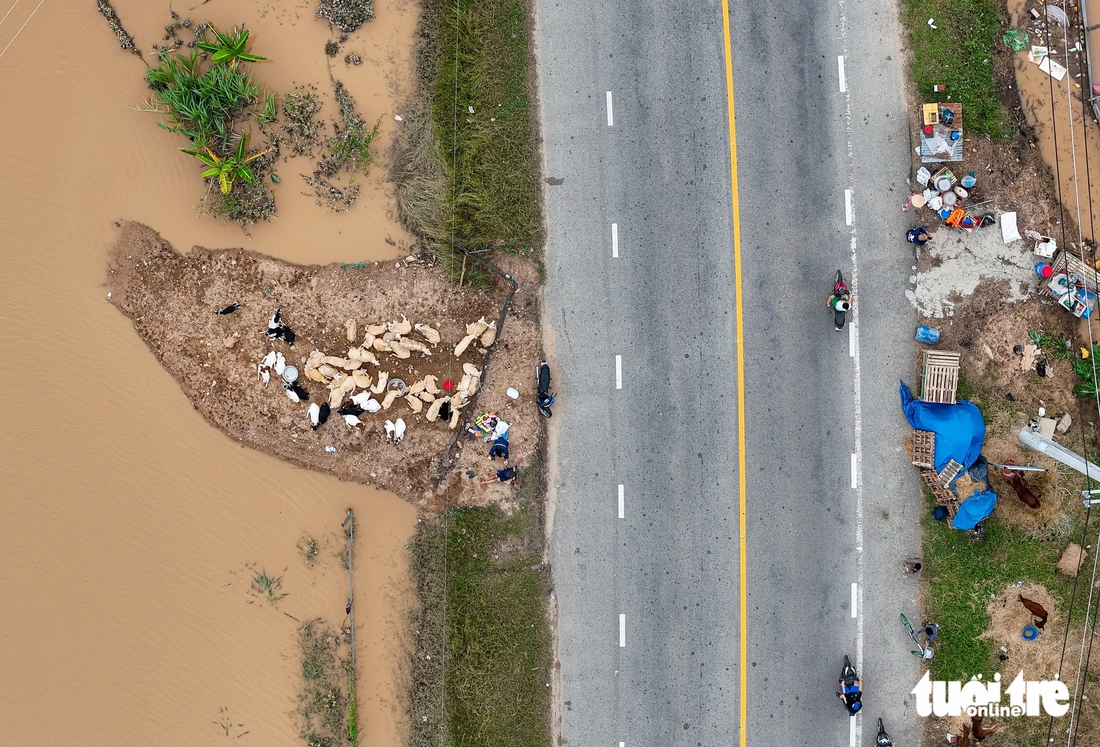 sông Dinh - Ảnh 8.