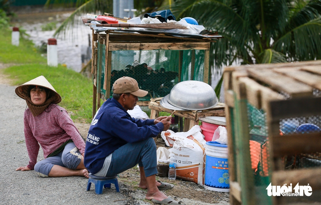 sông Dinh - Ảnh 12.