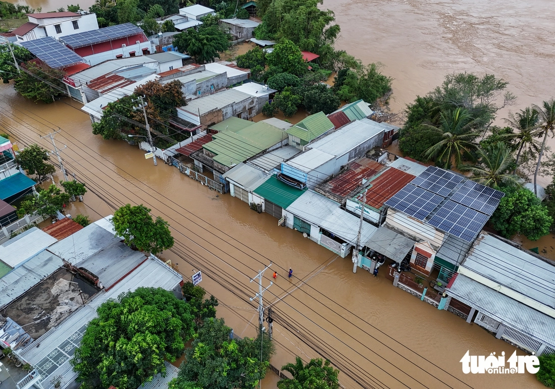 sông Dinh - Ảnh 14.