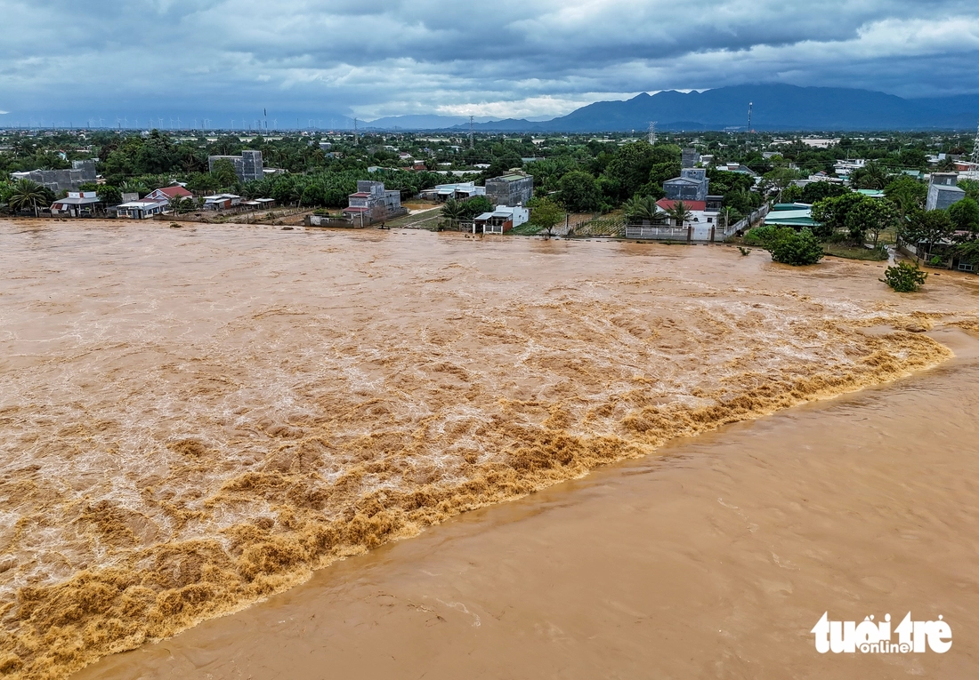 sông Dinh - Ảnh 15.