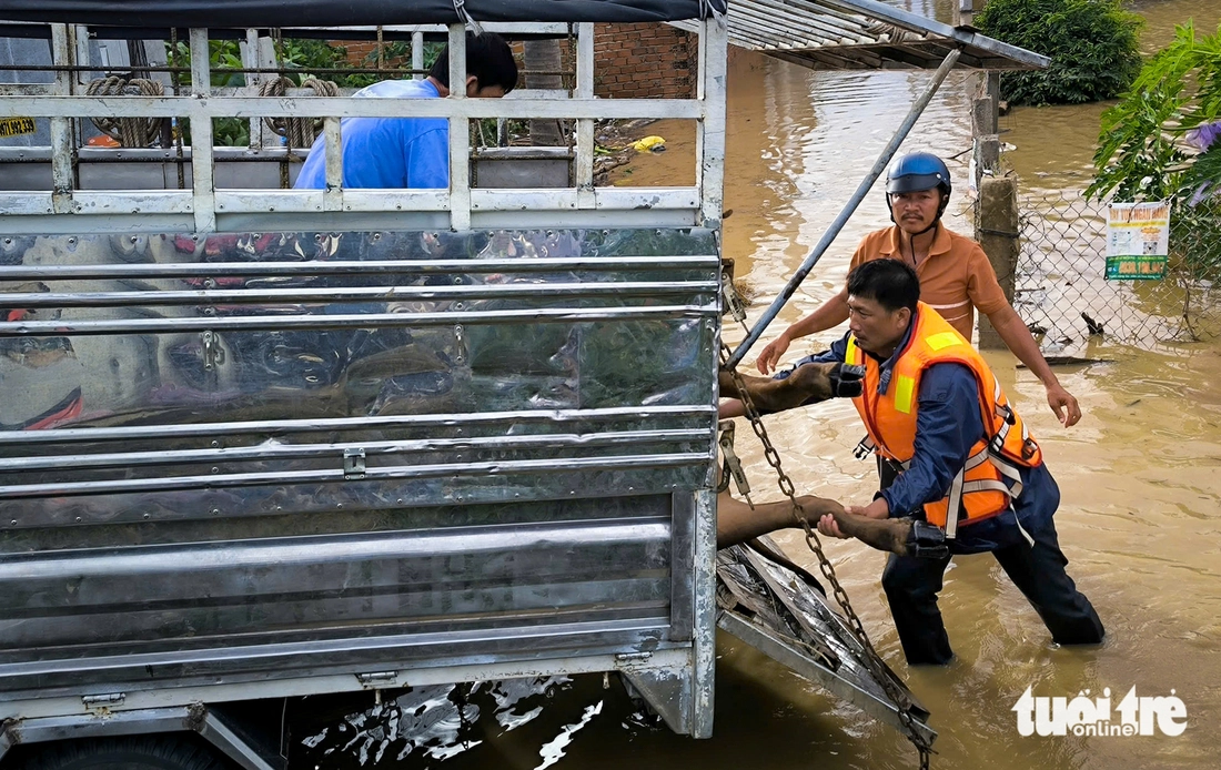 Phan Rang - Ảnh 9.